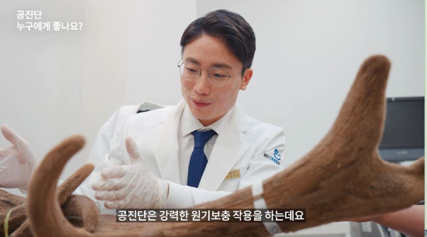 공진단 vs 경옥고, 내 몸에 맞는 진짜 보약 제대로 고르는 법 관련 이미지