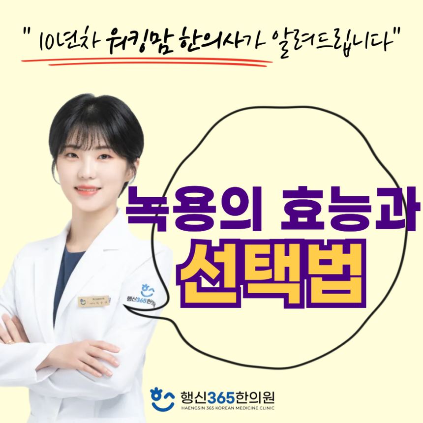 녹용은 도대체 왜 좋은 걸까요? 관련 이미지